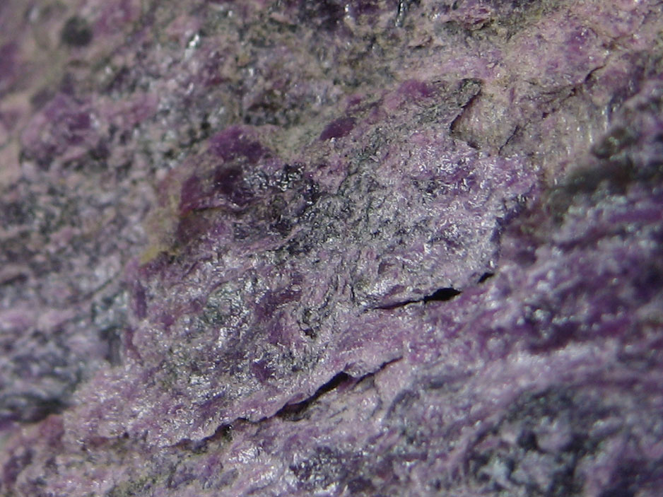 This is a macro image of Stichtite, from Tasmania, which can be found on the MIROFOSS database.